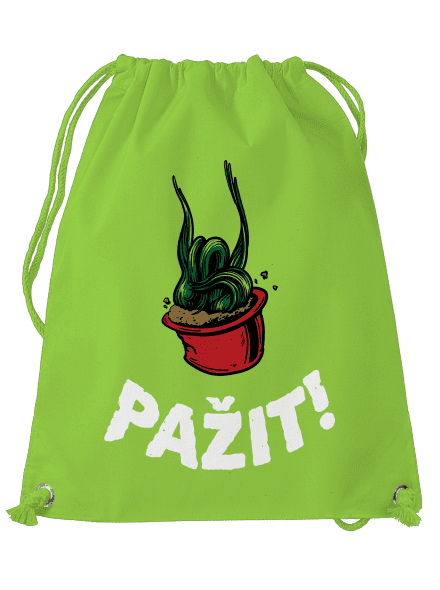 Pažit