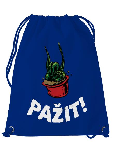 Pažit