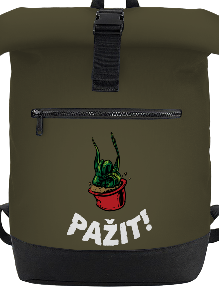 Pažit