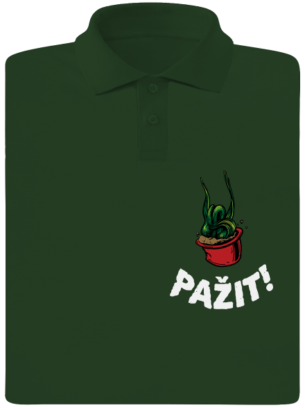 Pažit