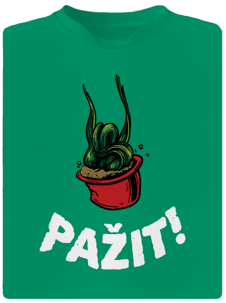 Pažit