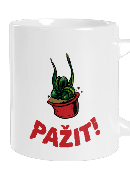 Pažit