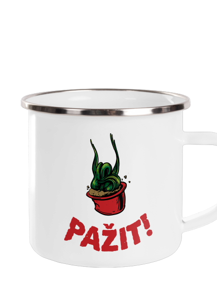 Pažit