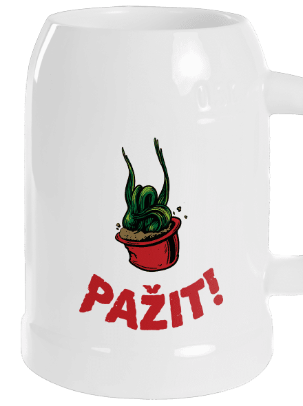 Pažit