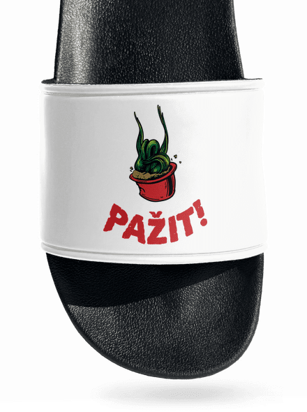 Pažit