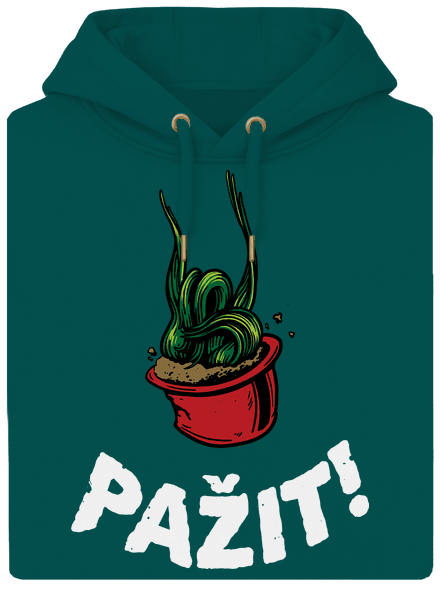 Pažit