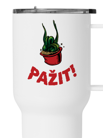 Pažit