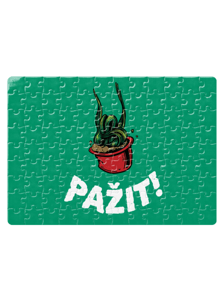 Pažit