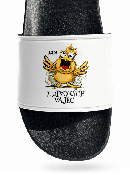 Z divokých vajec