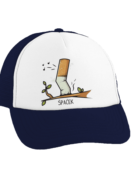 Špaček