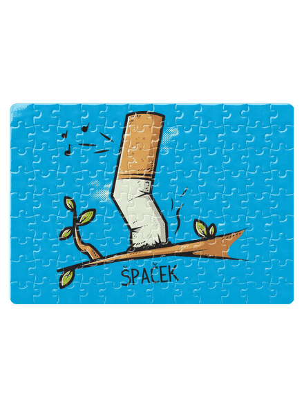 Špaček