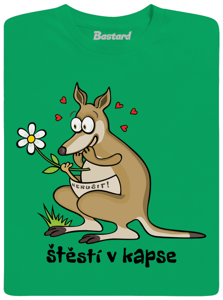 Štěstí v kapse