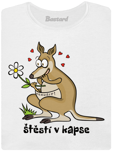 Štěstí v kapse