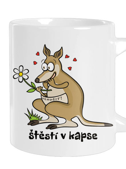 Štěstí v kapse