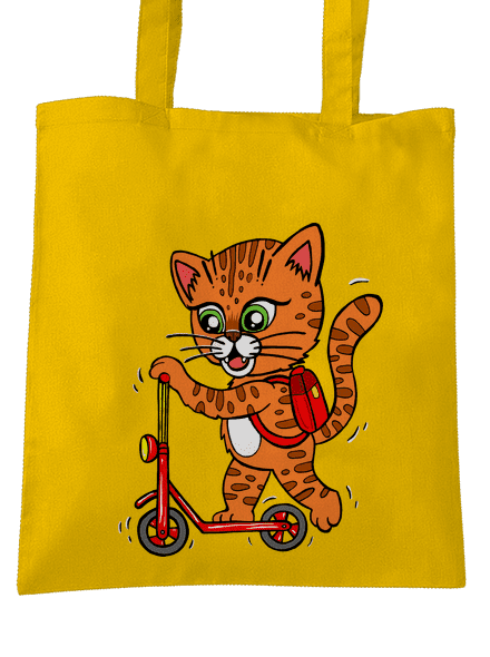 Kočka na koloběžce