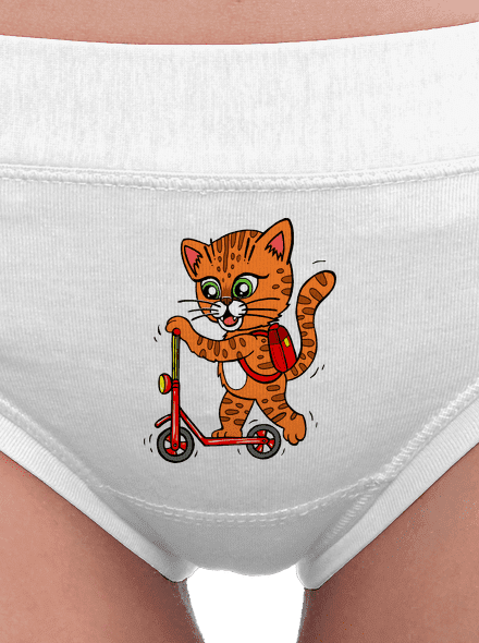 Kočka na koloběžce