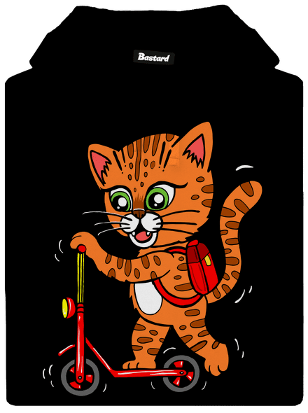 Kočka na koloběžce