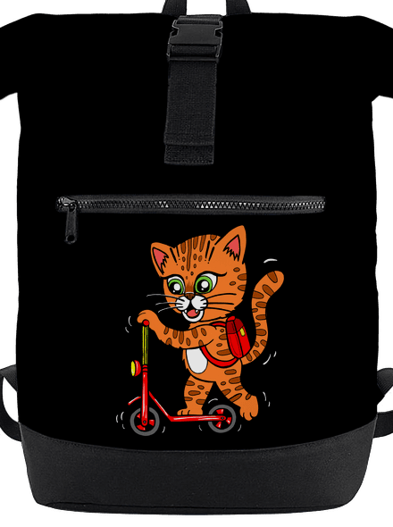 Kočka na koloběžce