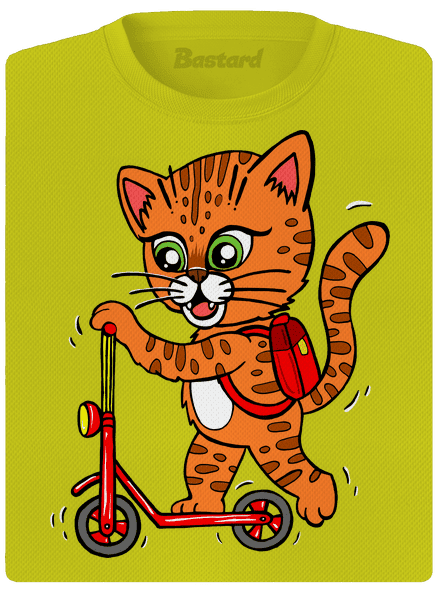 Kočka na koloběžce