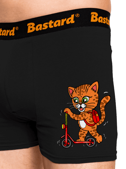 Kočka na koloběžce