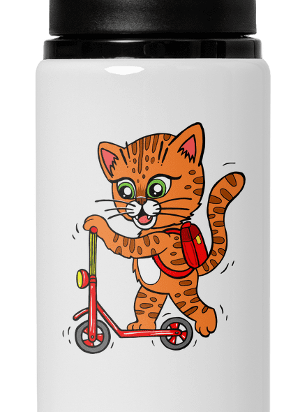 Kočka na koloběžce