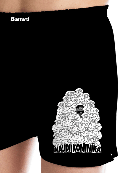 Najdi kominíka