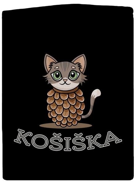 Košiška