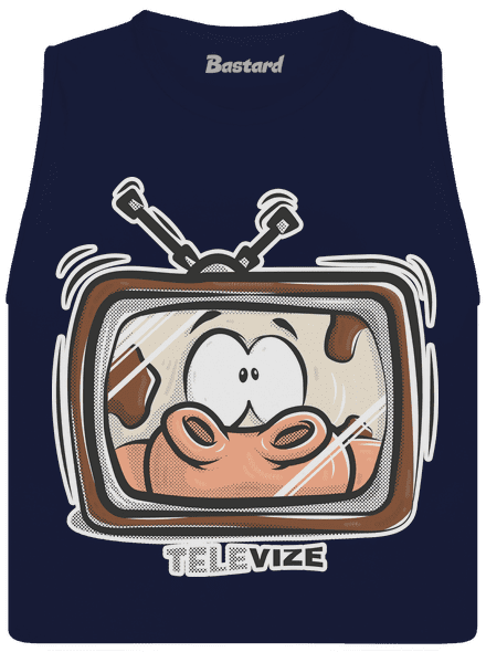 Televize