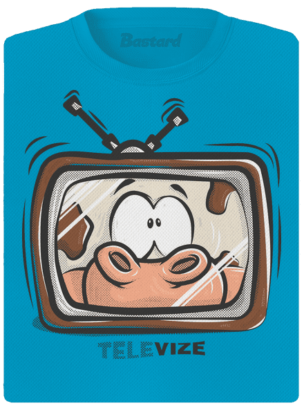 Televize