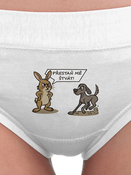 Naštvaný zajíc