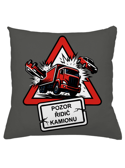 Řidič kamionu