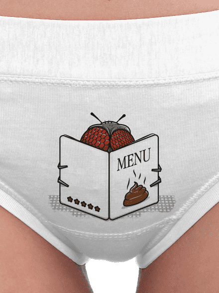 Gastro moucha