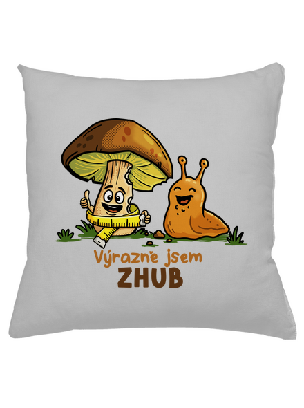 Jsem zhub