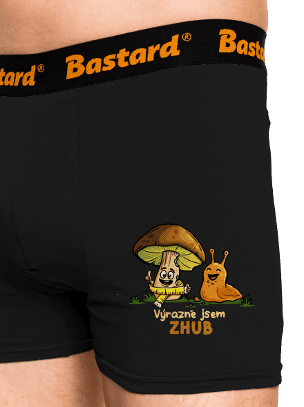 Jsem zhub