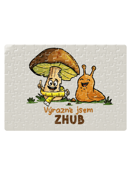 Jsem zhub
