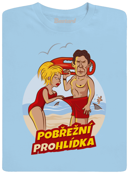 Pobřežní prohlídka