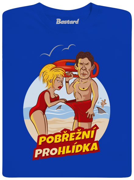 Pobřežní prohlídka