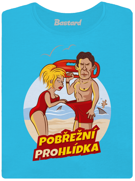 Pobřežní prohlídka