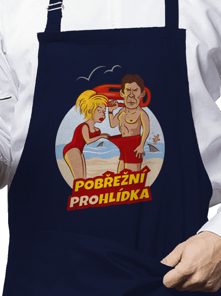 Pobřežní prohlídka