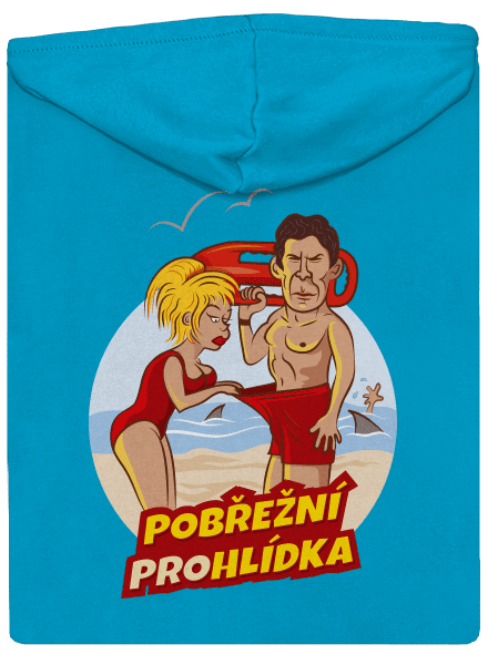 Pobřežní prohlídka