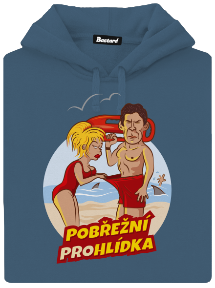 Pobřežní prohlídka