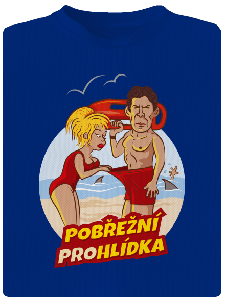 Pobřežní prohlídka