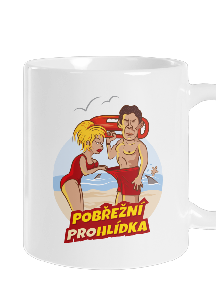 Pobřežní prohlídka
