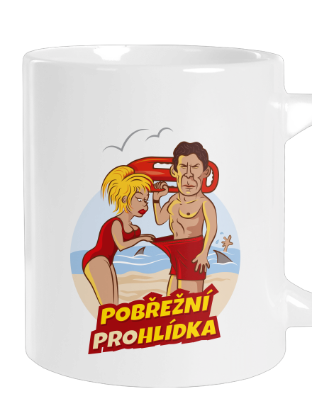 Pobřežní prohlídka