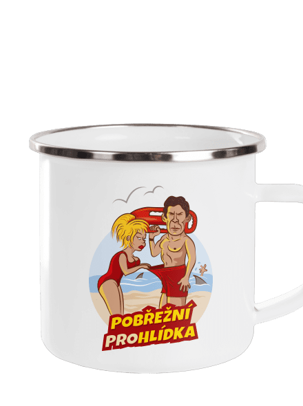 Pobřežní prohlídka