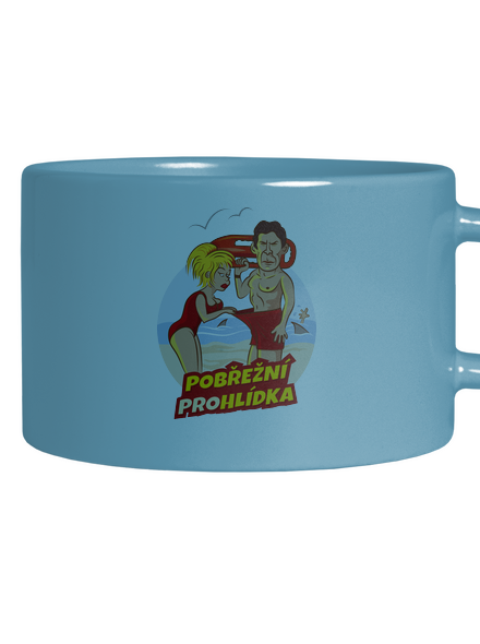 Pobřežní prohlídka