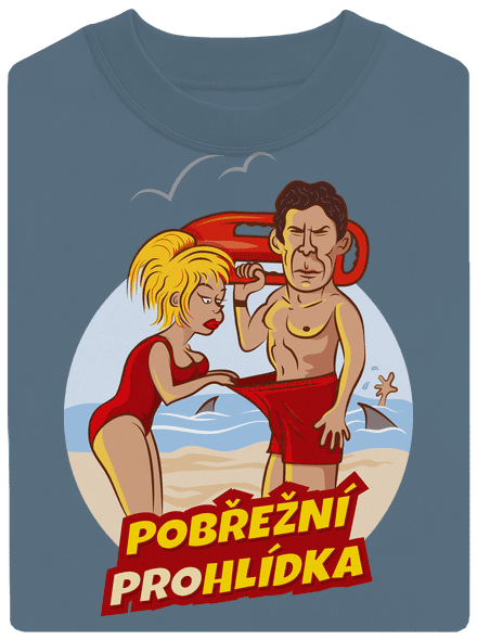 Pobřežní prohlídka