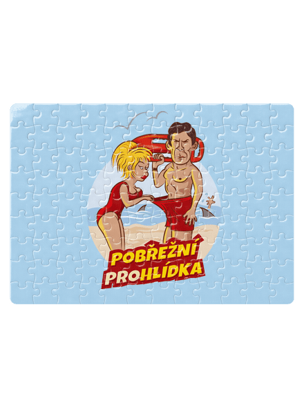 Pobřežní prohlídka