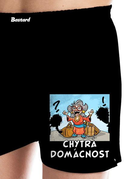 Chytrá domácnost