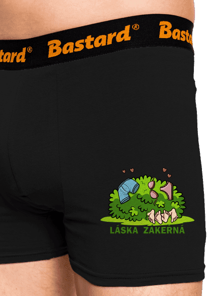 Láska zákeřná
